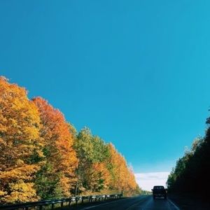 Meet your Posher, Shona